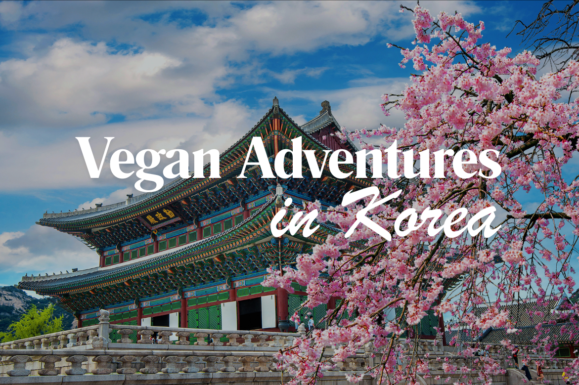 Sky Vacations Brings Vegan Travel to Korea - A Journey of Flavor and Discovery