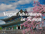 Sky Vacations Brings Vegan Travel to Korea - A Journey of Flavor and Discovery