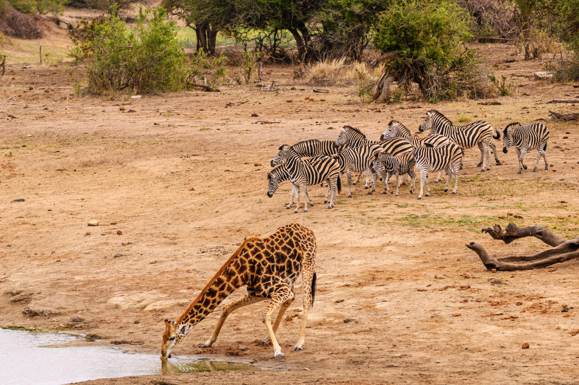 AmaWaterways Expands Its Africa Collection With Four New Itineraries Debuting in 2026