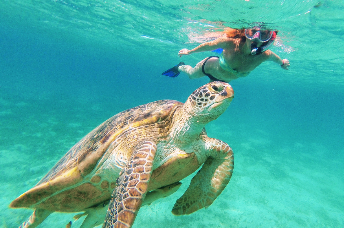 When Is the Best Time to Go to Turks and Caicos? A 2026 Luxury Villa Guide - Contributed by:  Rental Escapes