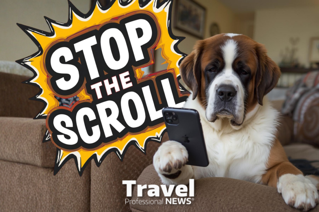 Travel Advisor Marketing: How to Battle the Failing Attention Span Today