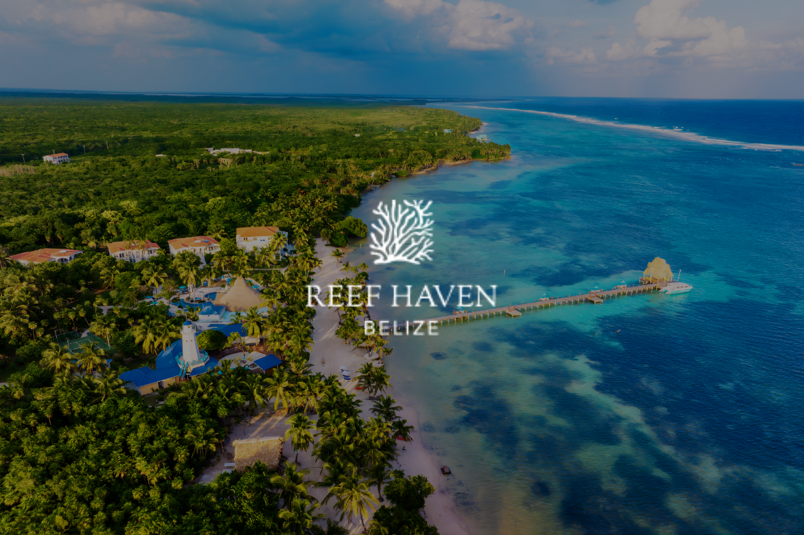 Reef Haven Belize Opens as a New-All Inclusive Sanctuary on the Barrier Reef