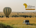 African Adventure Specialists Launches 2026 Departures for 9‑Day Classic Tanzania Safari