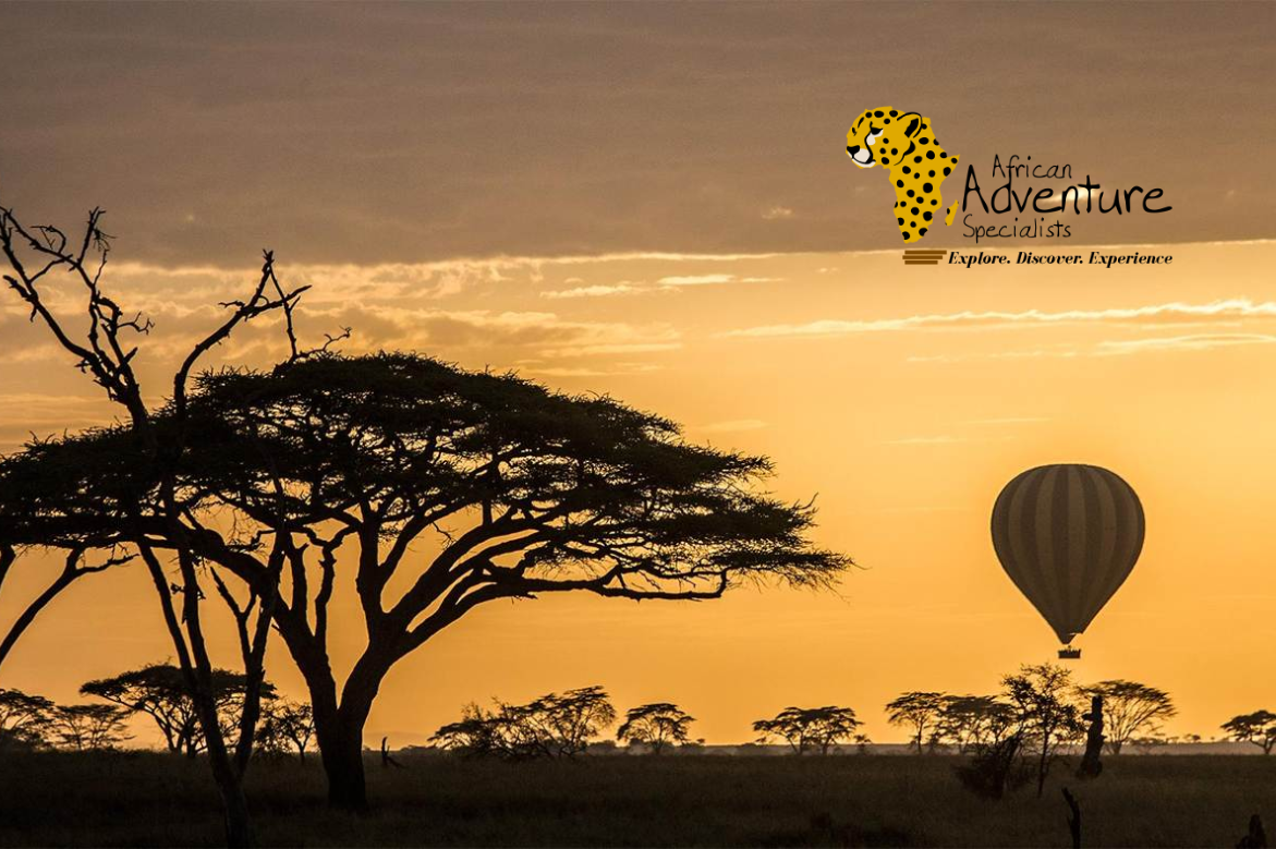 African Adventure Specialists Introduces 6-Day “Best of Kenya Safari” Experience for 2026