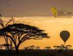 African Adventure Specialists Introduces 6-Day “Best of Kenya Safari” Experience for 2026