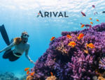 Multi-Day Tours Enter New Phase of Growth as Operators Shift Toward Smaller Groups, Focused Products, and Rising Tech Adoption