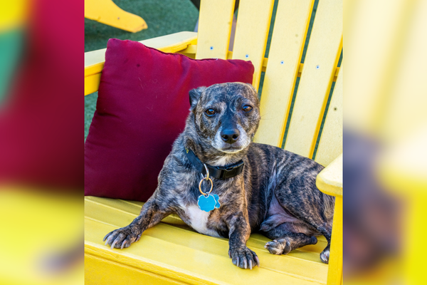 Red Rocks, Real Magic: Amara Resort & Spa