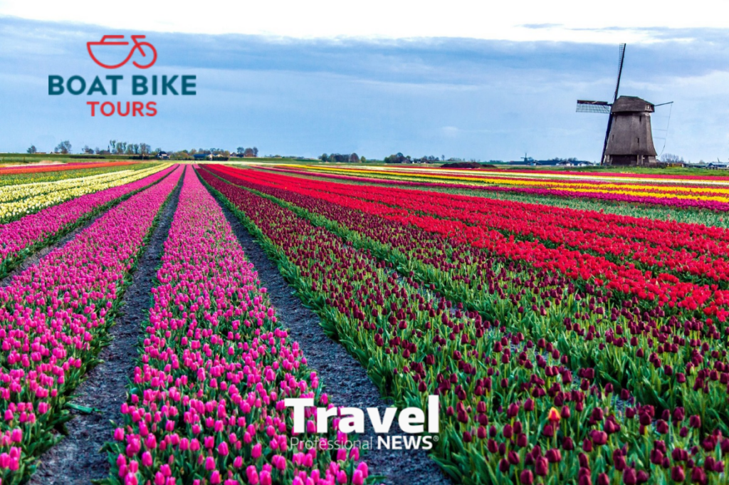 New Boat Bike Tours Tulip Itinerary is a Discovery of Holland’s Colors, Comforts