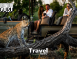 Safari offers for 2027 are arriving: a three-question test to help advisors choose